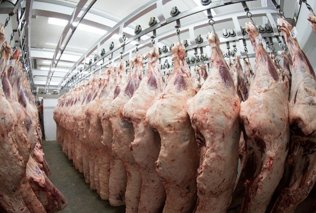 Taxação dos EUA leva frigoríficos de Goiás a suspender vendas de carne bovina