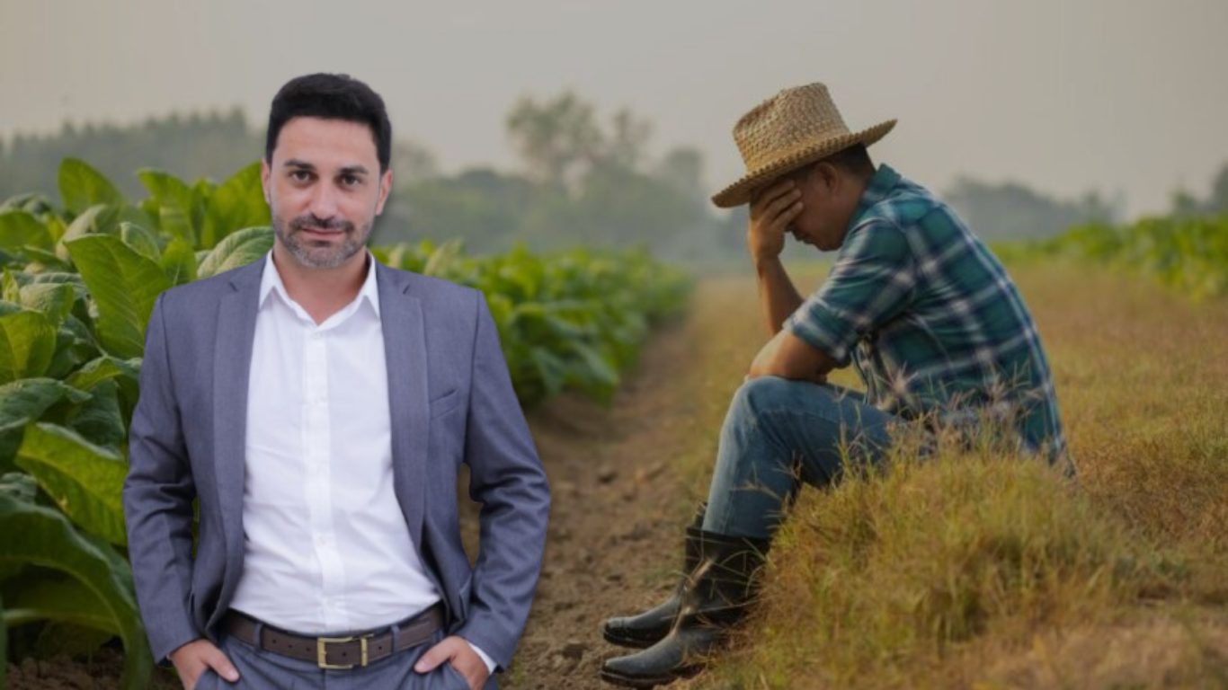 Leilões e execuções sem negociação prévia: o alerta que o produtor rural precisa ouvir