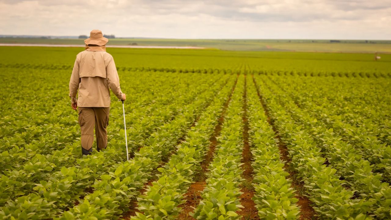Com juros altos e crédito escasso, produtor encontra apoio na ConsulttAgro para financiar produção
