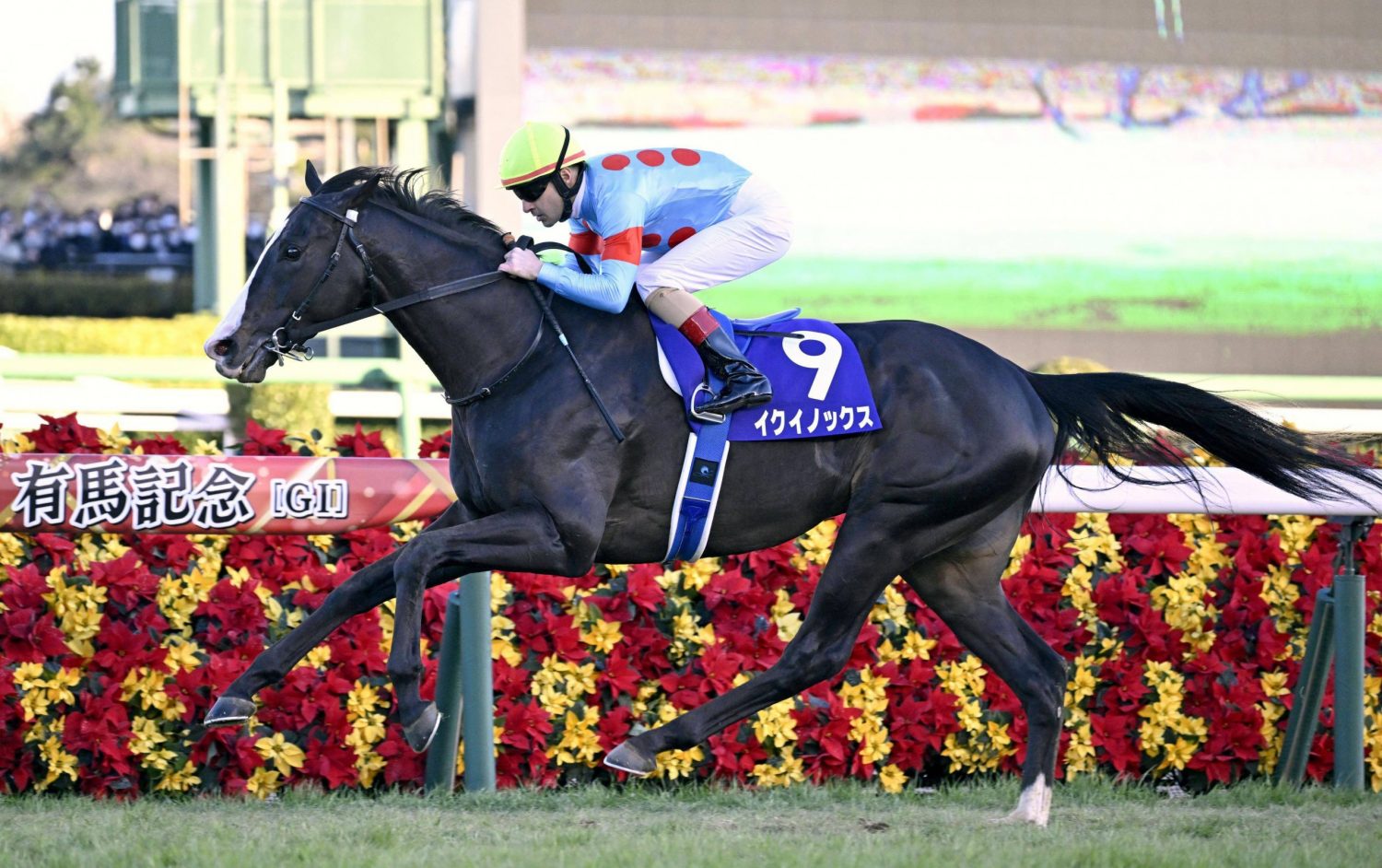 Cavalo Equinox é eleito melhor PSI do mundo