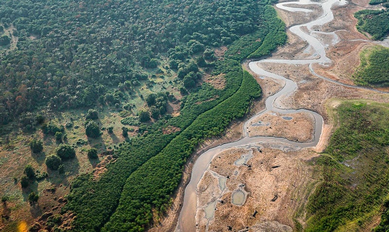 Novo licenciamento ambiental opõe conservacionistas e indústria