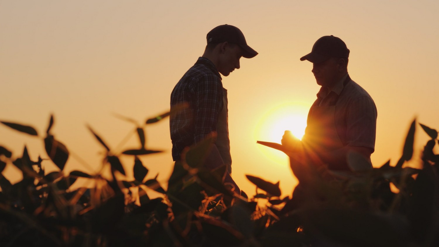Câmara aprova projeto que facilita o agricultor familiar acessar o benefício garantia-safra