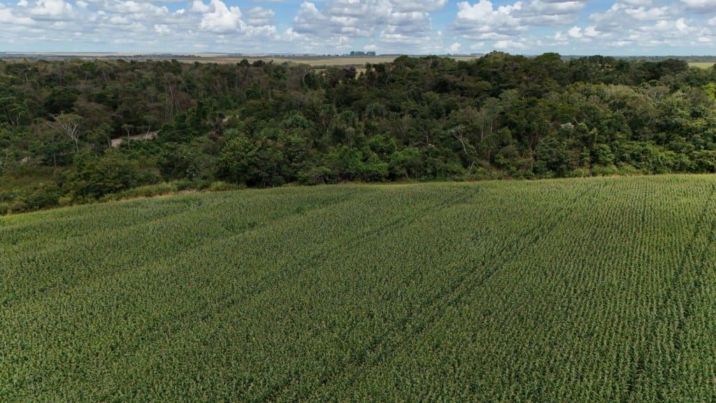 CNA: licenciamento ambiental moderniza e desburocratiza o País