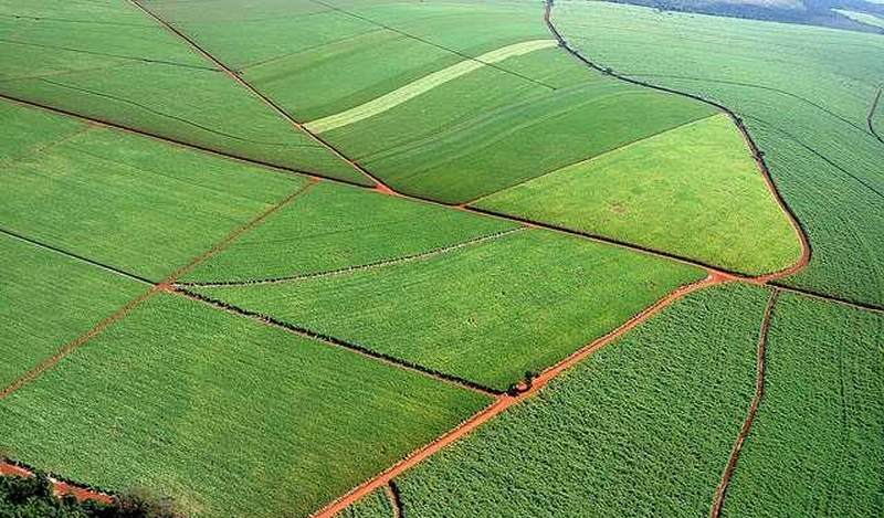 Tarifaço: Única e Bioenergia reforçam confiança na ação do governo
