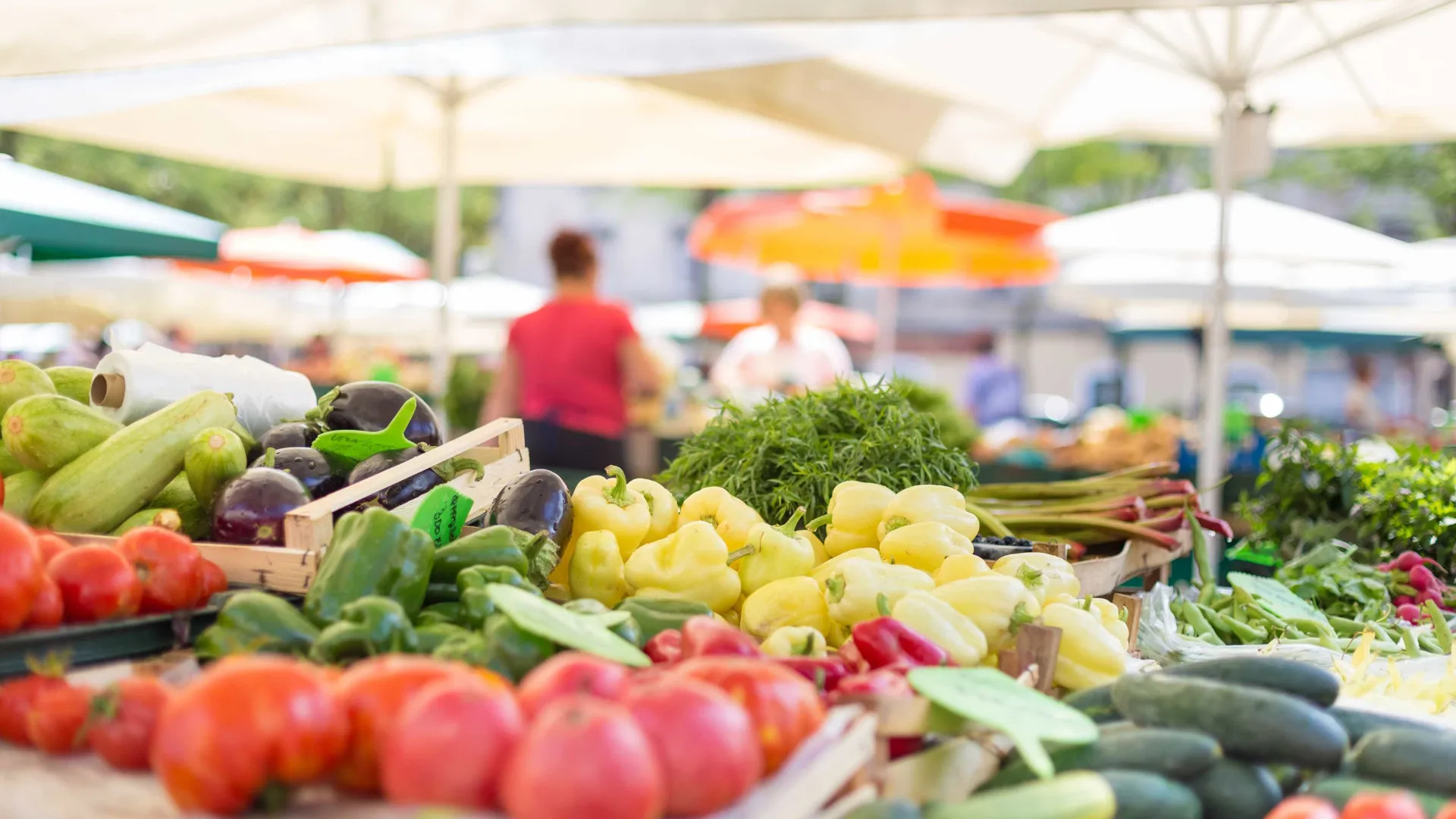 A importância da alimentação para um envelhecimento saudável