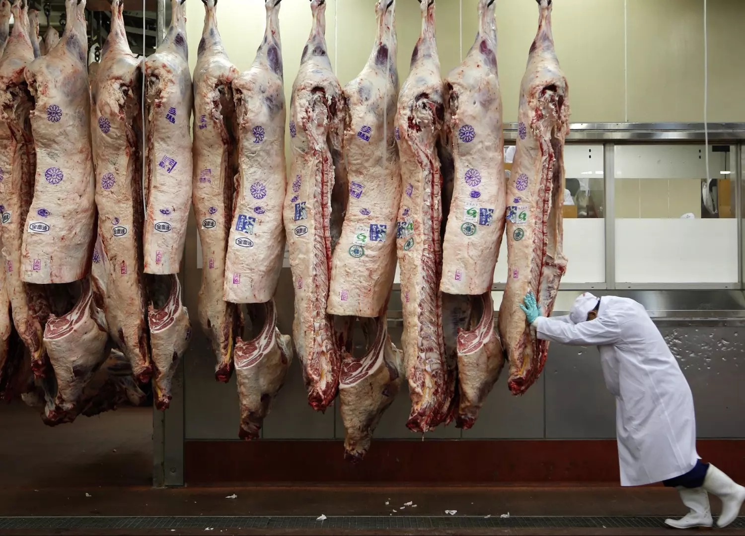Embarques de carne bovina crescem 48% no primeiro semestre no Porto de Paranaguá