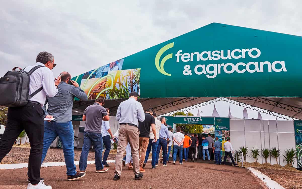 Brasil avança como protagonista global na transição energética