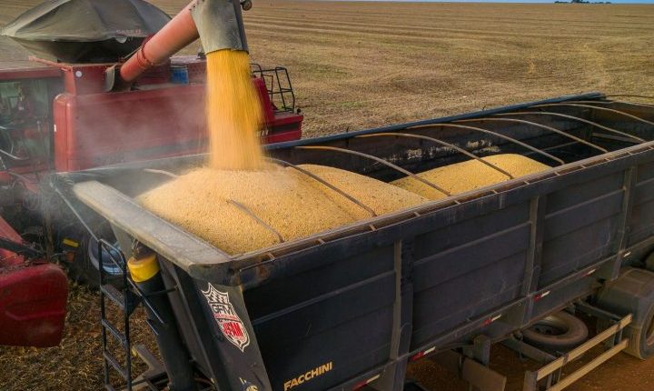 Megaprodutor de Tocantins com R$ 1 bilhão em dívidas está à beira da falência; entenda