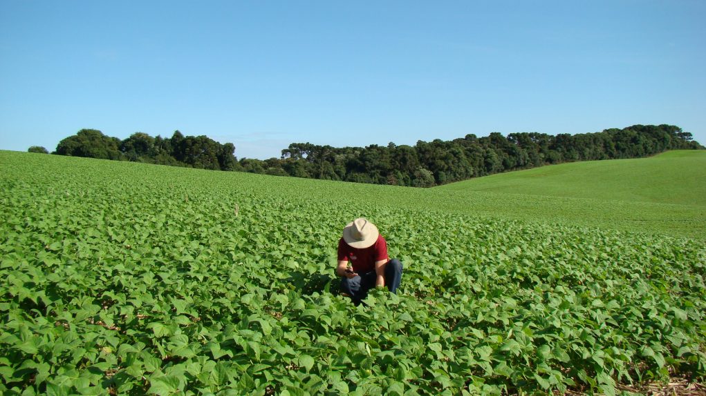 No dia do agricultor, celebramos quem cultiva o futuro do Brasil (e do mundo)