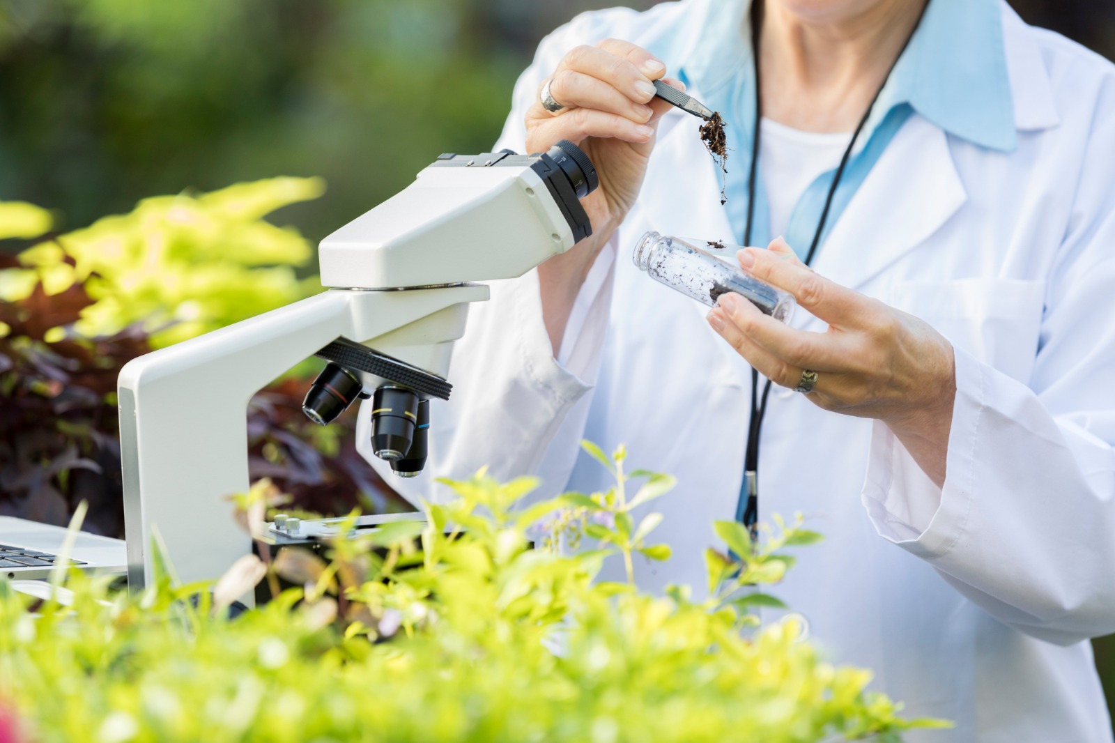 Gigantes do agro se unem para desenvolver produtos biológicos para nutrição vegetal 