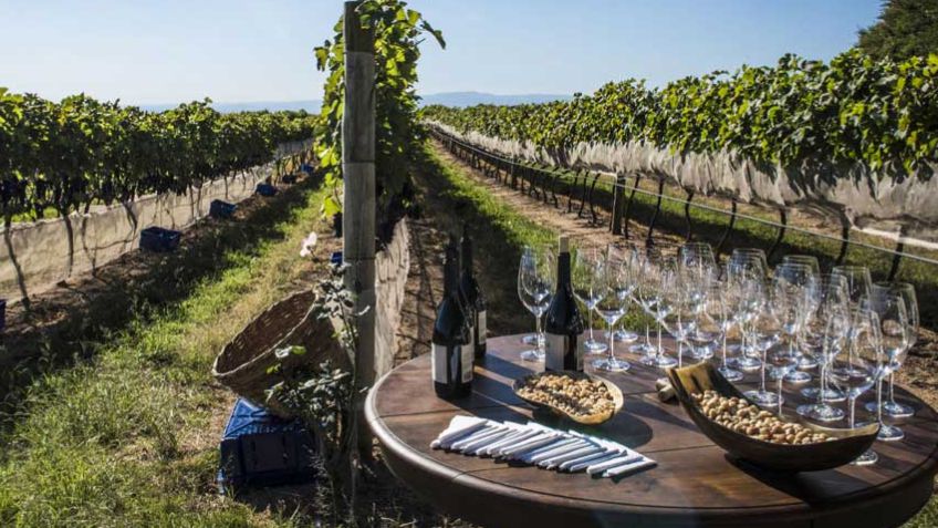 Melhor destino gastronômico do Brasil recebe o TurisAgro, feira agro e festival de inverno