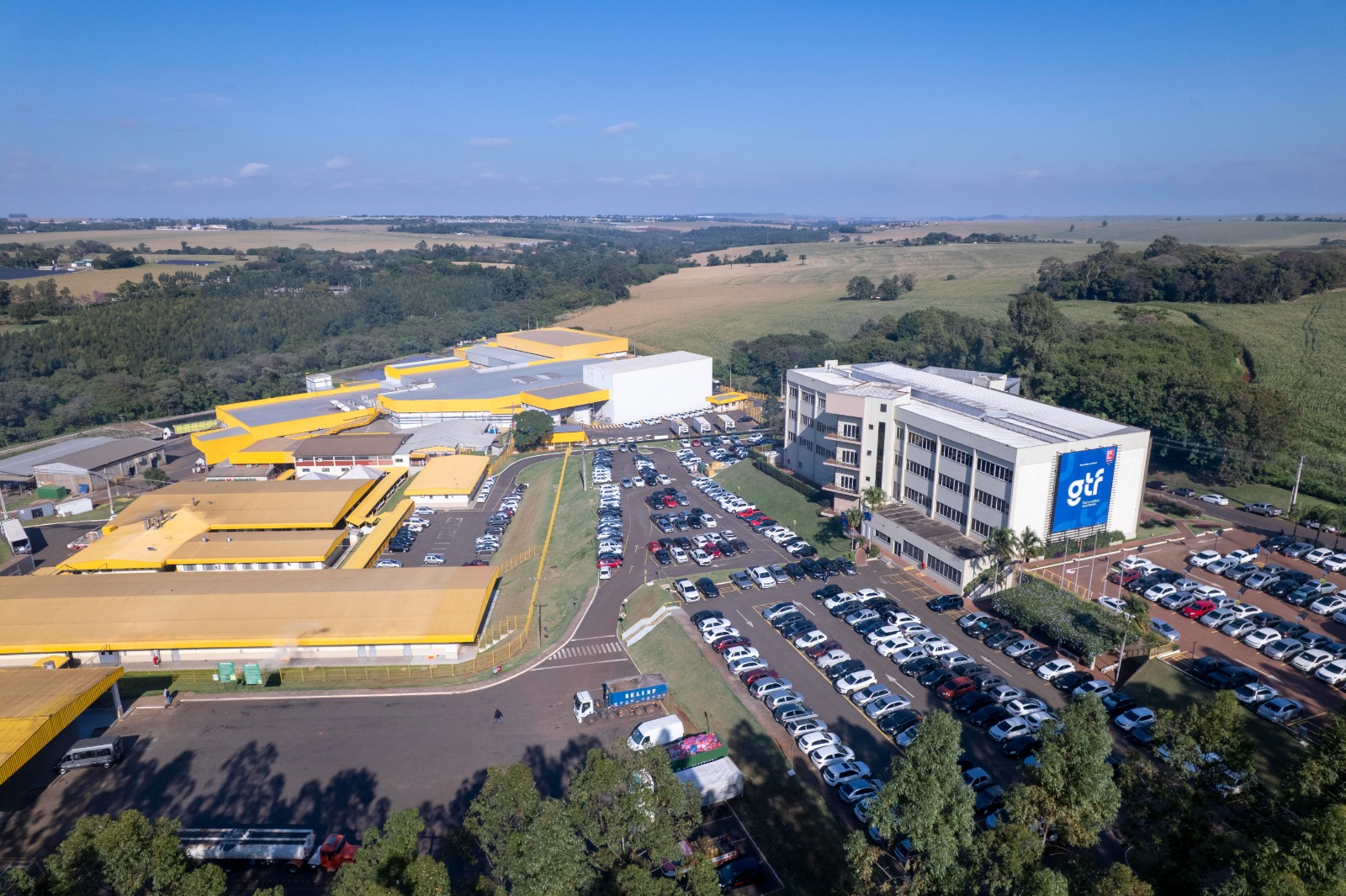 GTF moderniza planta de Maringá e amplia portfólio com cortes padronizados e mais nobres
