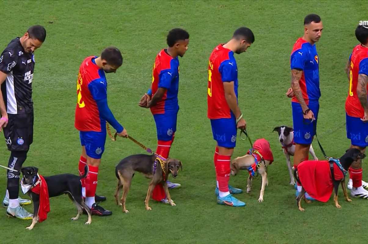 Jogadores do Bahia entram em campo com cachorros para adoção; veja