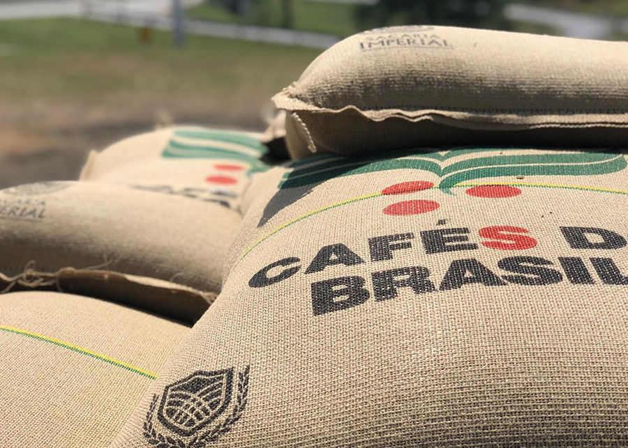 Brasil deixa de embarcar mais de 450 mil sacas de café e acumula prejuízo de R$ 1,022 bilhão