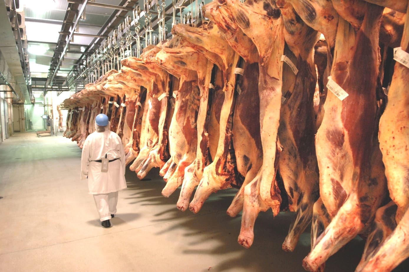 Abiec: adiamento de tarifa deve permitir que cargas de carne cheguem aos EUA