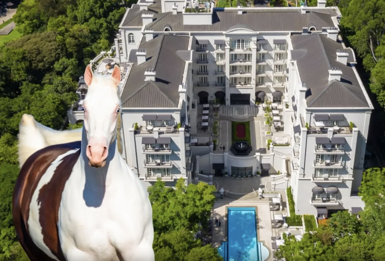 Palácio Tangará será palco de um dos maiores leilões da raça Quarto de Milha do país