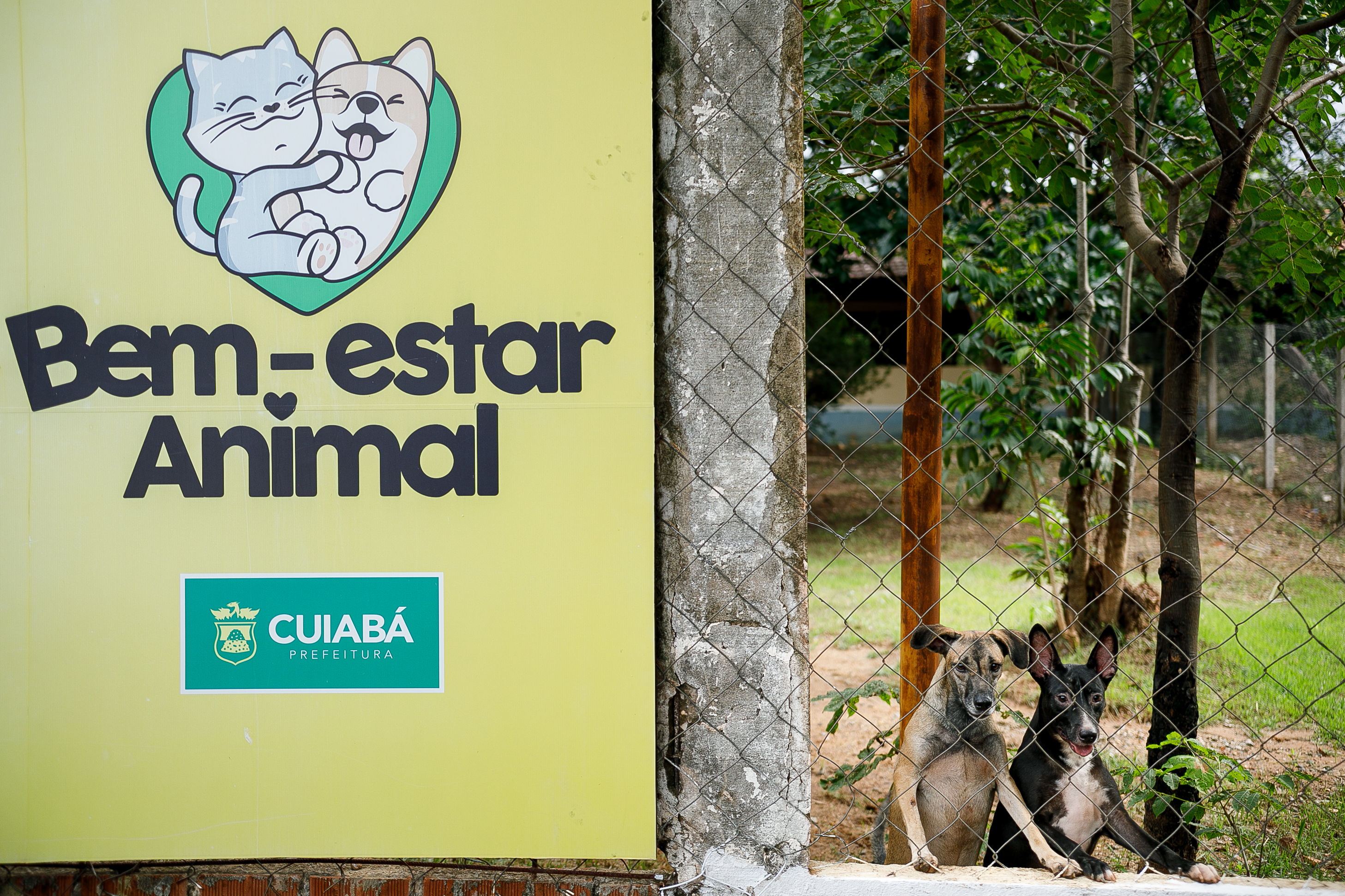 Bem-Estar Animal recebe mais de 450 kg de ração e inicia nova fase de distribuição solidária
