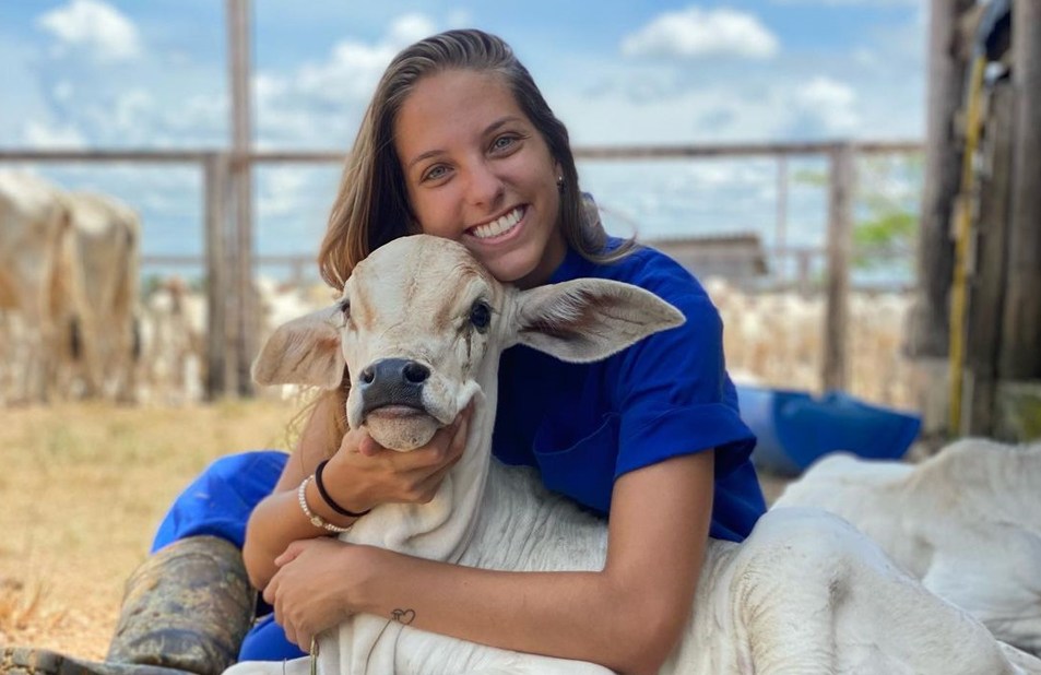 Aprovado exame de habilitação para futuros médicos veterinários; entenda o trâmite