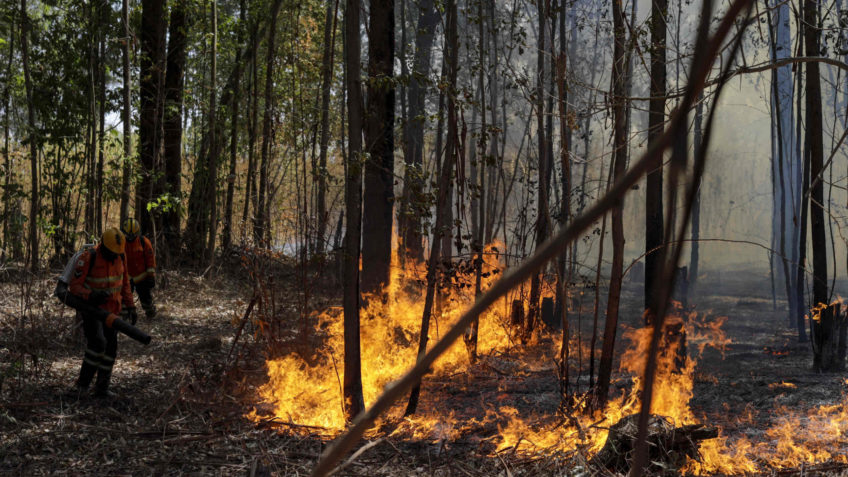 Brasil registra 9.803 focos de incêndio em julho