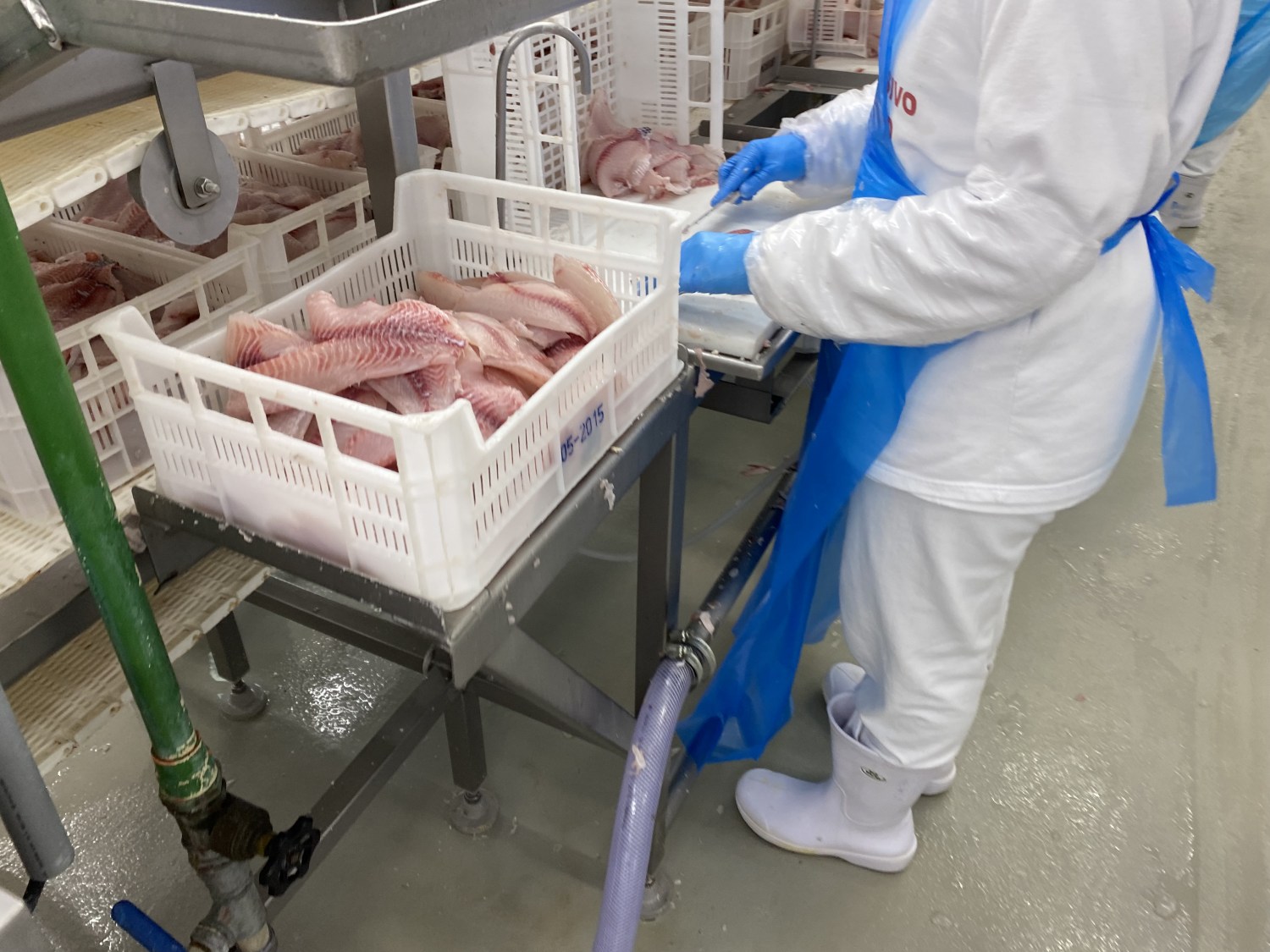 ABPA defende pragmatismo na negociação sobre tarifas para carnes, ovos e peixes