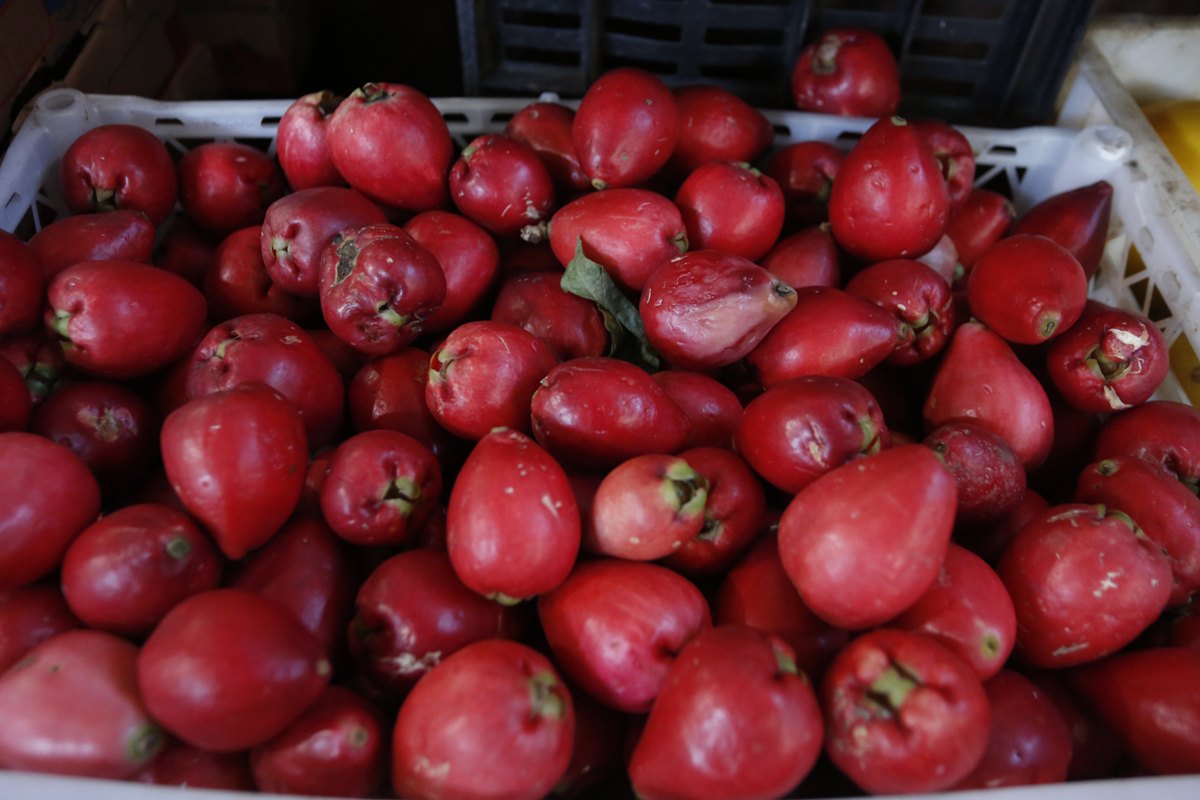 Conheça fruta que ajuda a prevenir o infarto e fortalece o coração