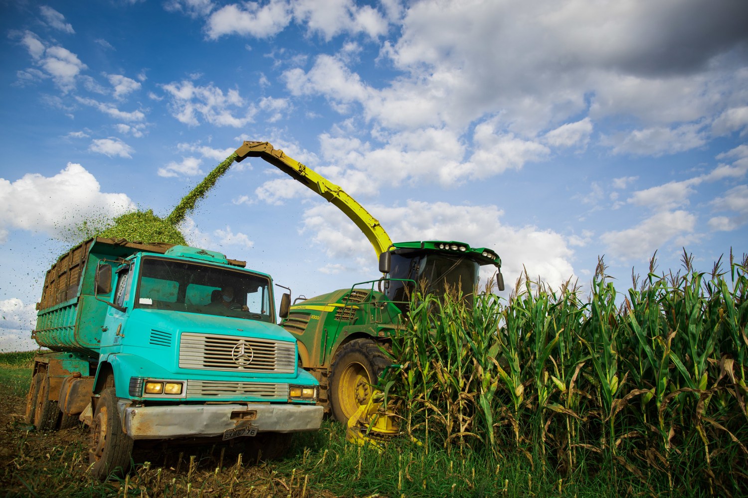 AgRural: Colheita da safrinha de milho vai a 81% no Centro-Sul do Brasil