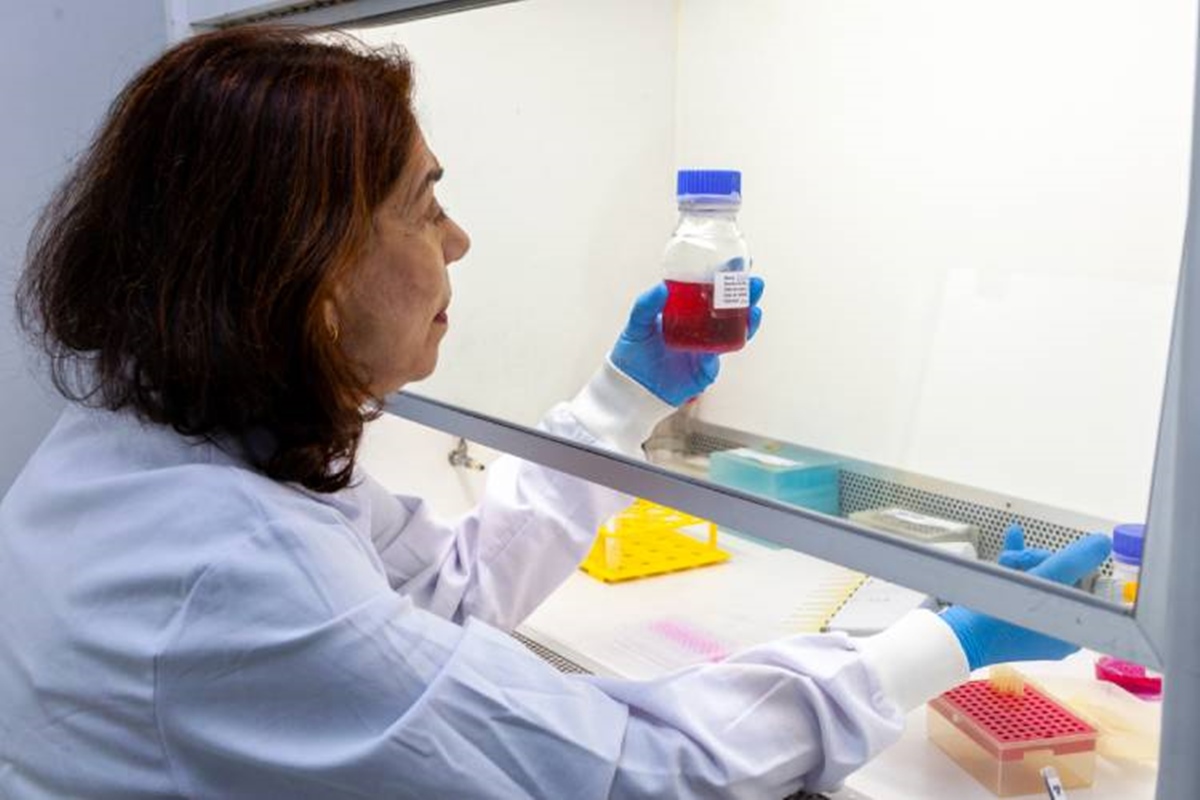 Butantan desenvolve anticorpo anti-zika com foco em gestantes