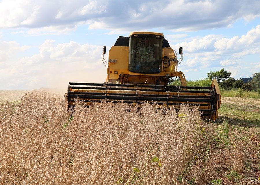 Volume de soja inspecionado nos EUA para exportação avança 43,2%, diz USDA