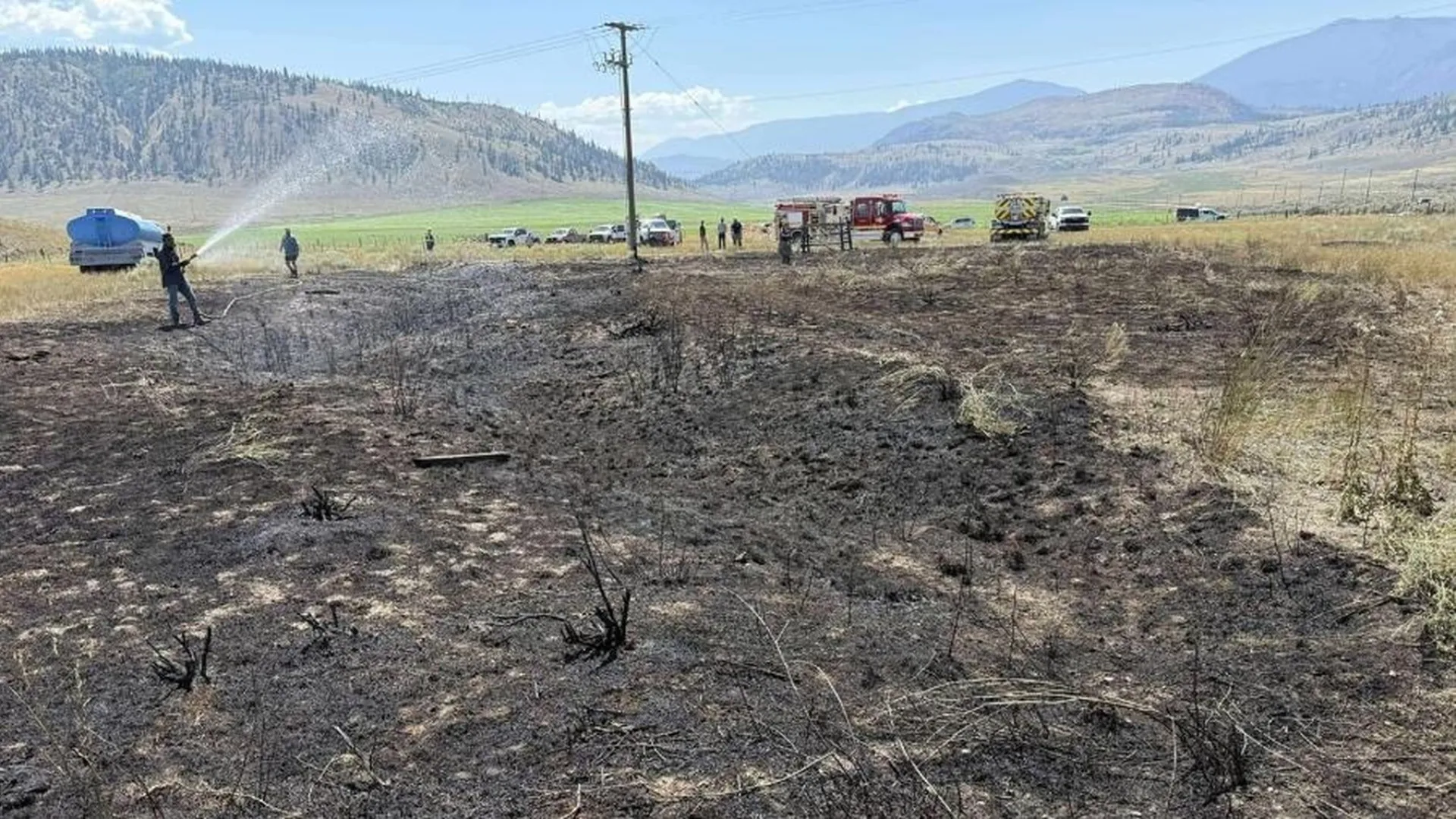 Peixe cai do céu, causa fogo em vegetação e deixa pessoas sem luz no Canadá