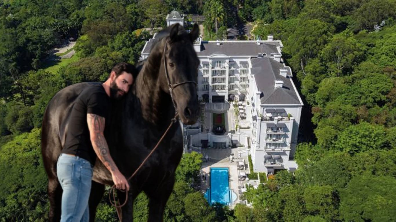 Gusttavo Lima procura sócio para cavalo Oregon, Friesian mais cobiçado do país
