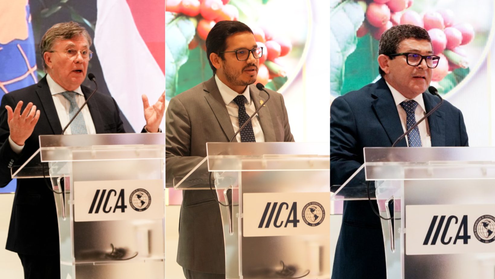 A agricultura tropical é crucial para o planeta e deve receber mais apoio para transformar sua riqueza natural em produtividade