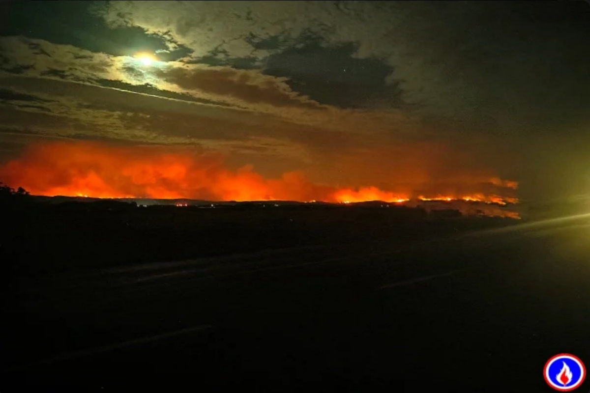 Incêndio no Sul da França devasta 11 mil hectares de floresta