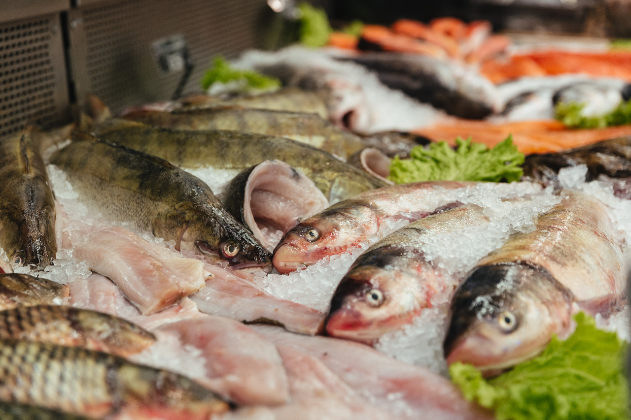 Tarifaço coloca em risco a produção de peixe, café e florestas do Paraná, alerta Sistema FAEP