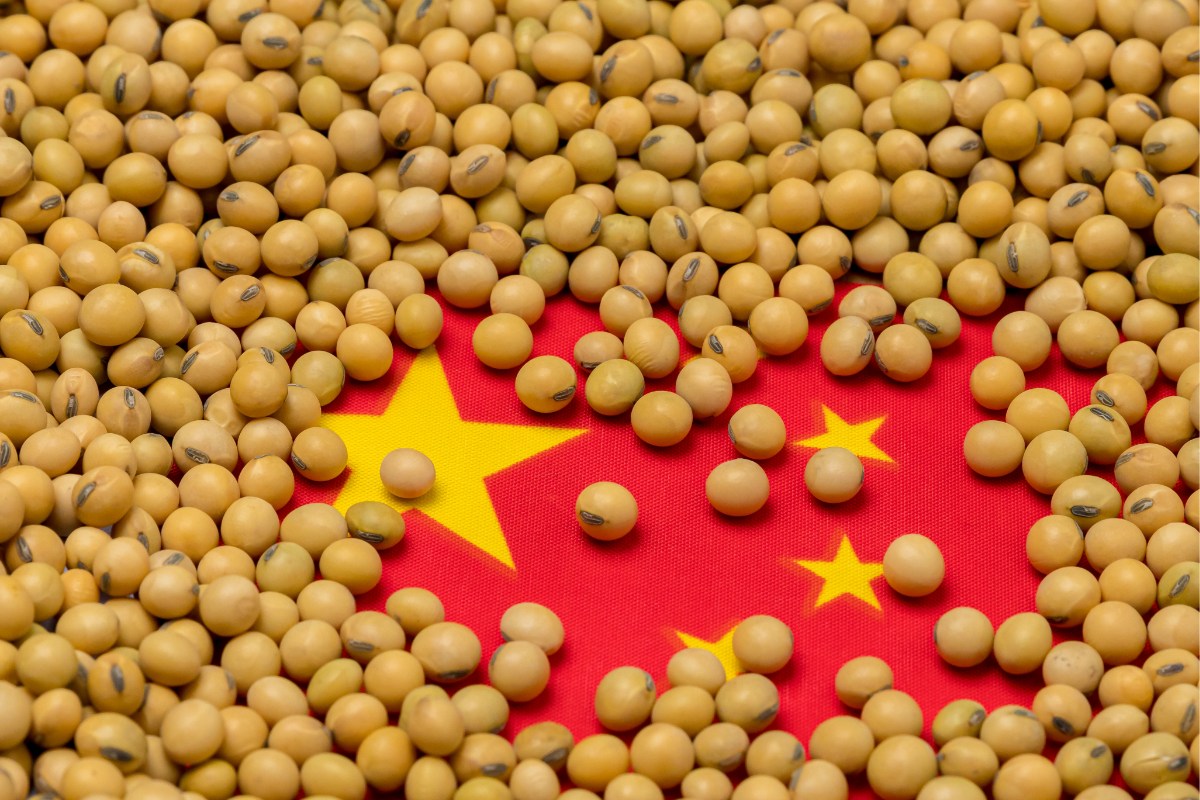 Importação de soja pela China sobe 18% em julho ante um ano