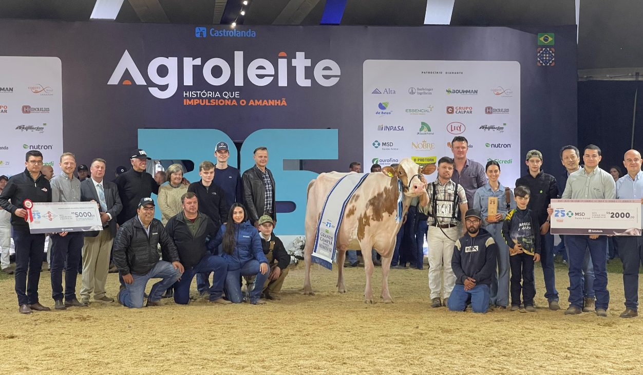 Conheça a melhor vaca da raça Holandesa Vermelha e Branca, eleita na Agroleite