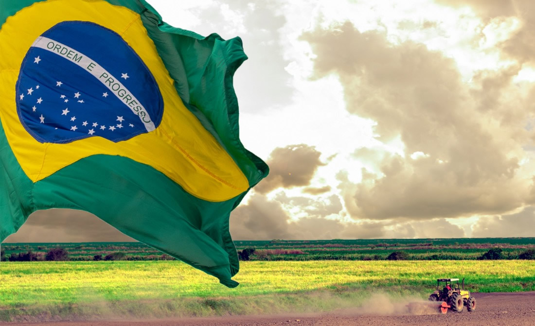 Nem China nem México superam os EUA nas compras do agro brasileiro