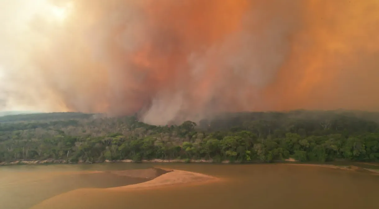 Aprosoja Tocantins orienta produtores sobre como agir diante de incêndios florestais