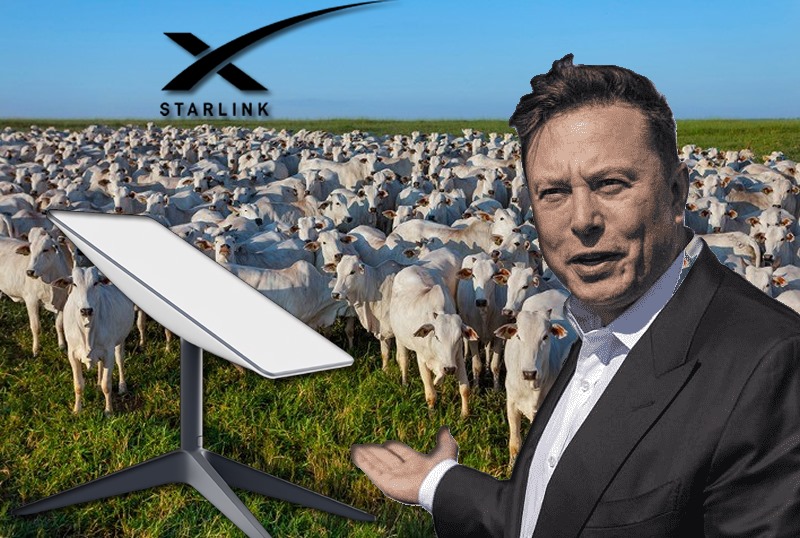 Starlink reduz preço para produtor e Elon Musk promete internet de alta velocidade
