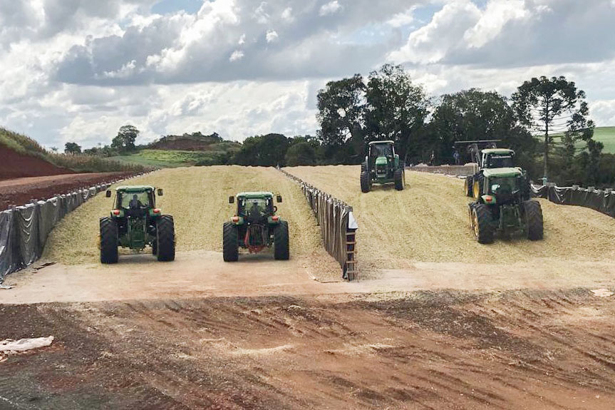 Passo a passo para produzir uma silagem de qualidade para bovinos