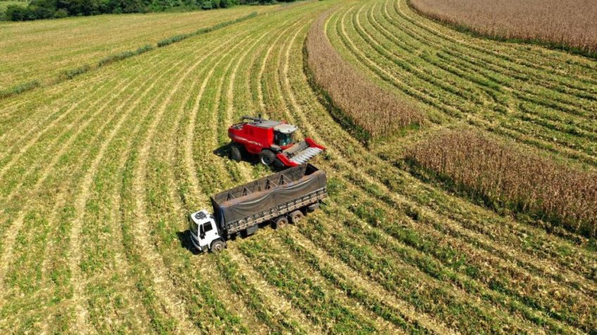 Agro impulsiona PIB paulista nos 5 meses iniciais de 2025