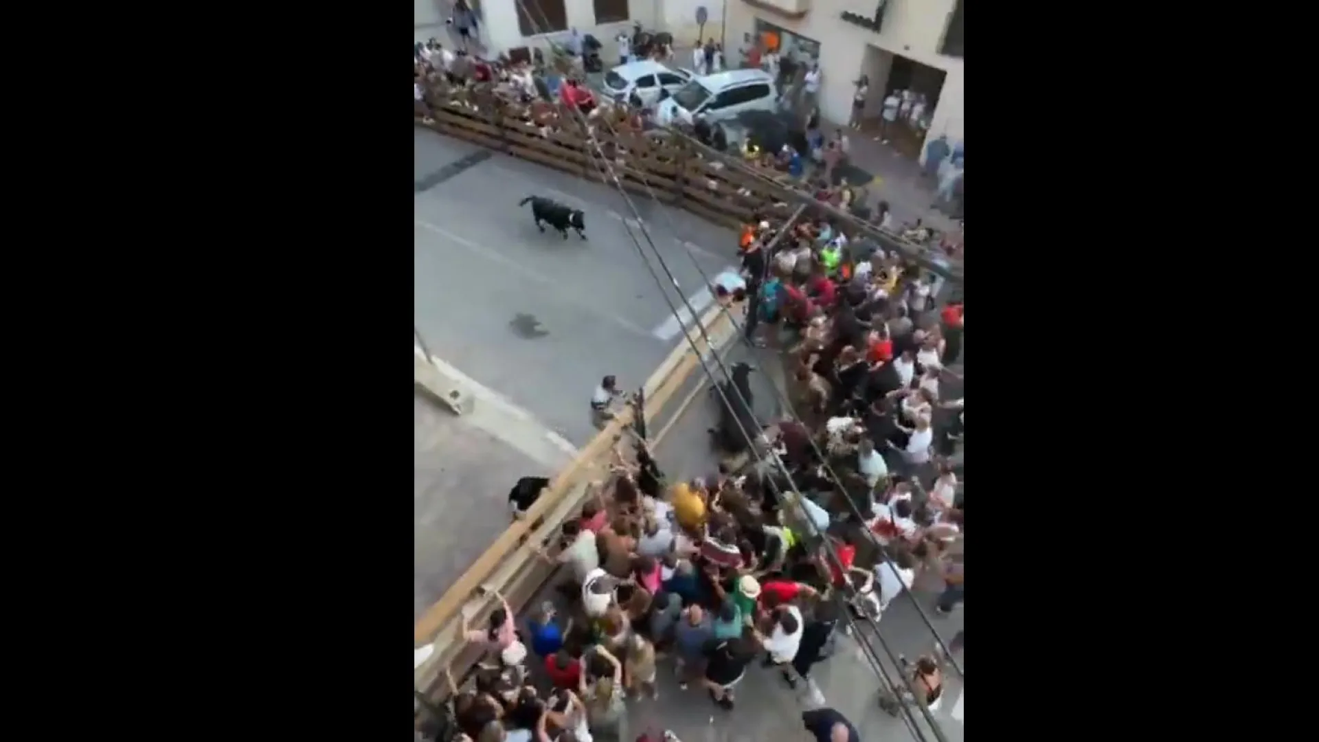 Touro quebra barreira e gera pânico ao fugir de recinto na Espanha; vídeo