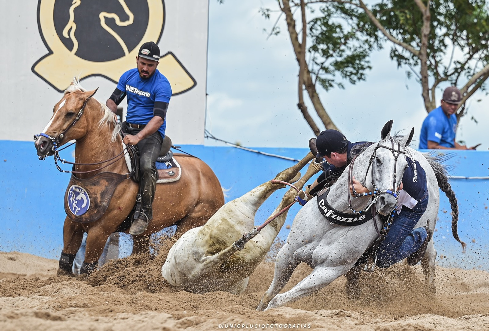STF confirma constitucionalidade e legalidade das práticas equestres regulamentadas