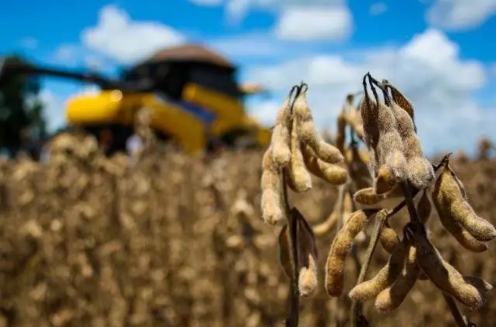 Tecnologia agrícola cria “vacina” que reduz o estresse hídrico e térmico das plantas