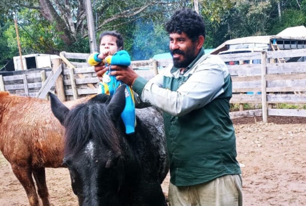 Bebê de três meses é gravemente ferido por boi em festival no Paraná