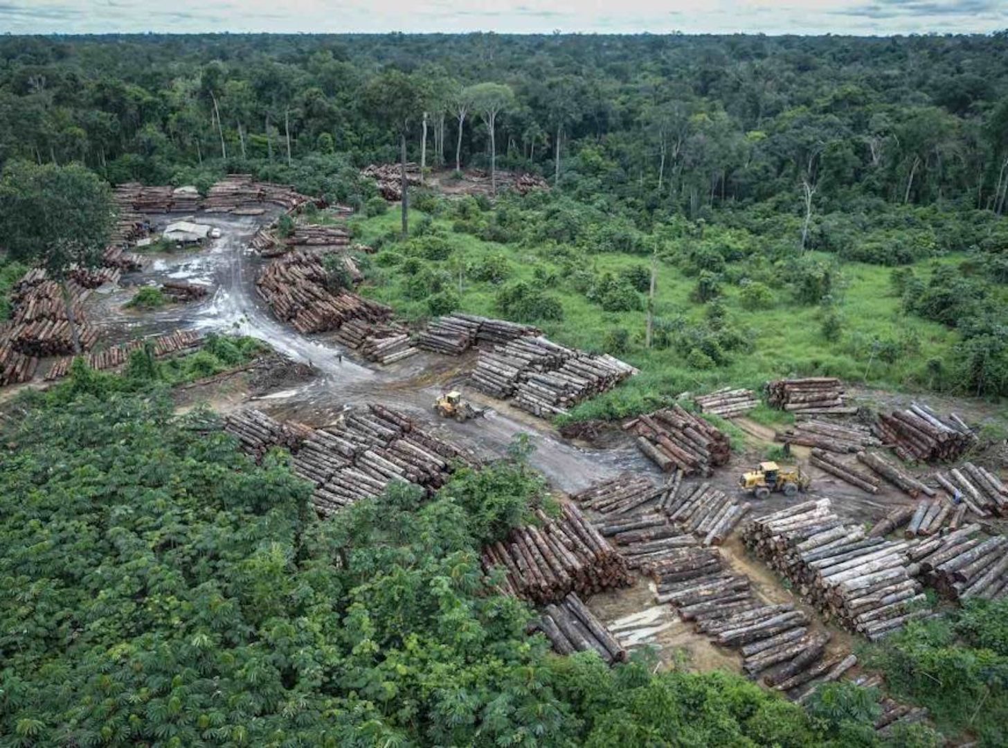 Brasil perde 13% de áreas naturais em 40 anos, diz MapBiomas