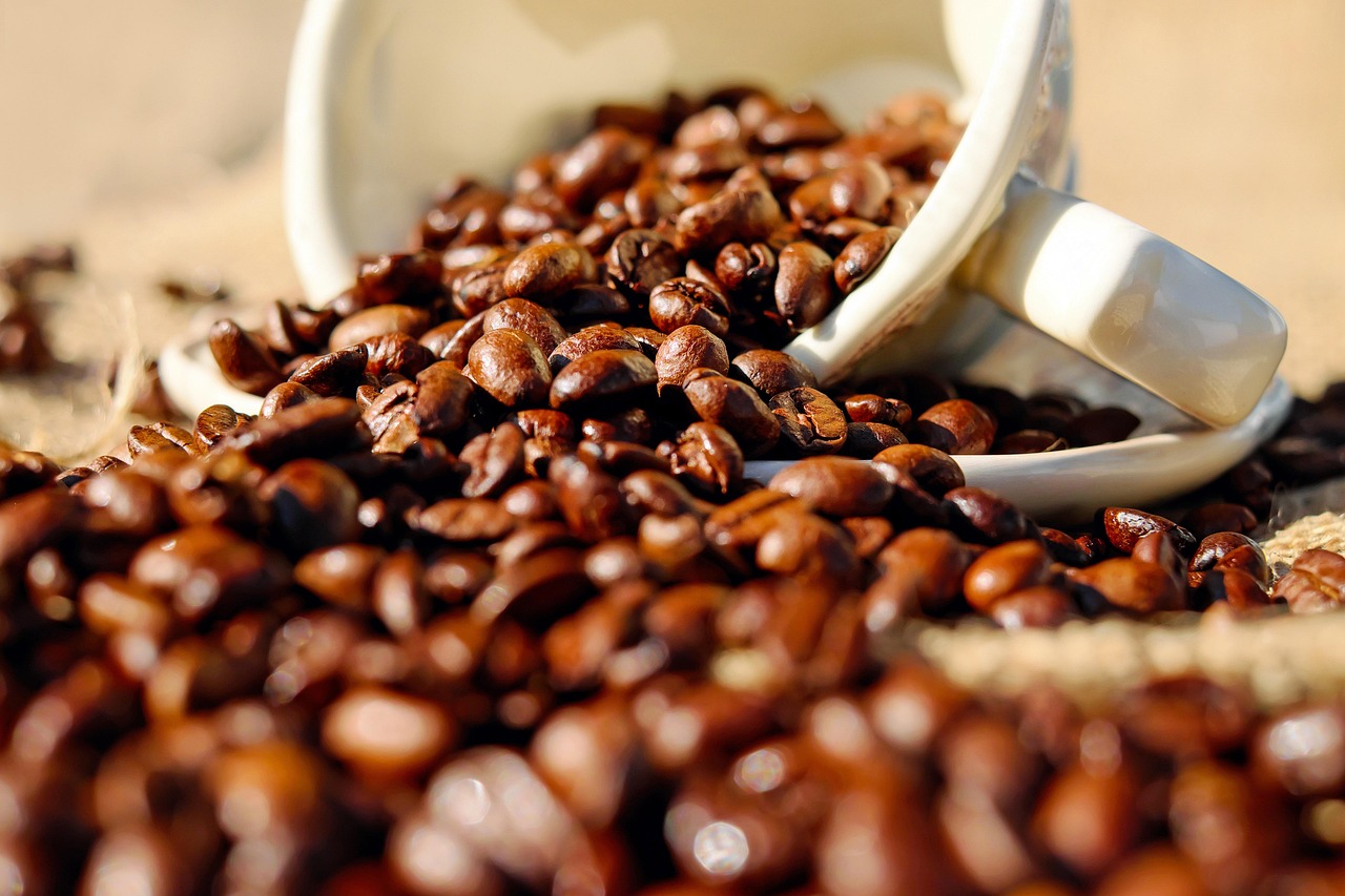Taxa de 50% dos EUA preocupa, mas cafeicultores mantêm foco na qualidade