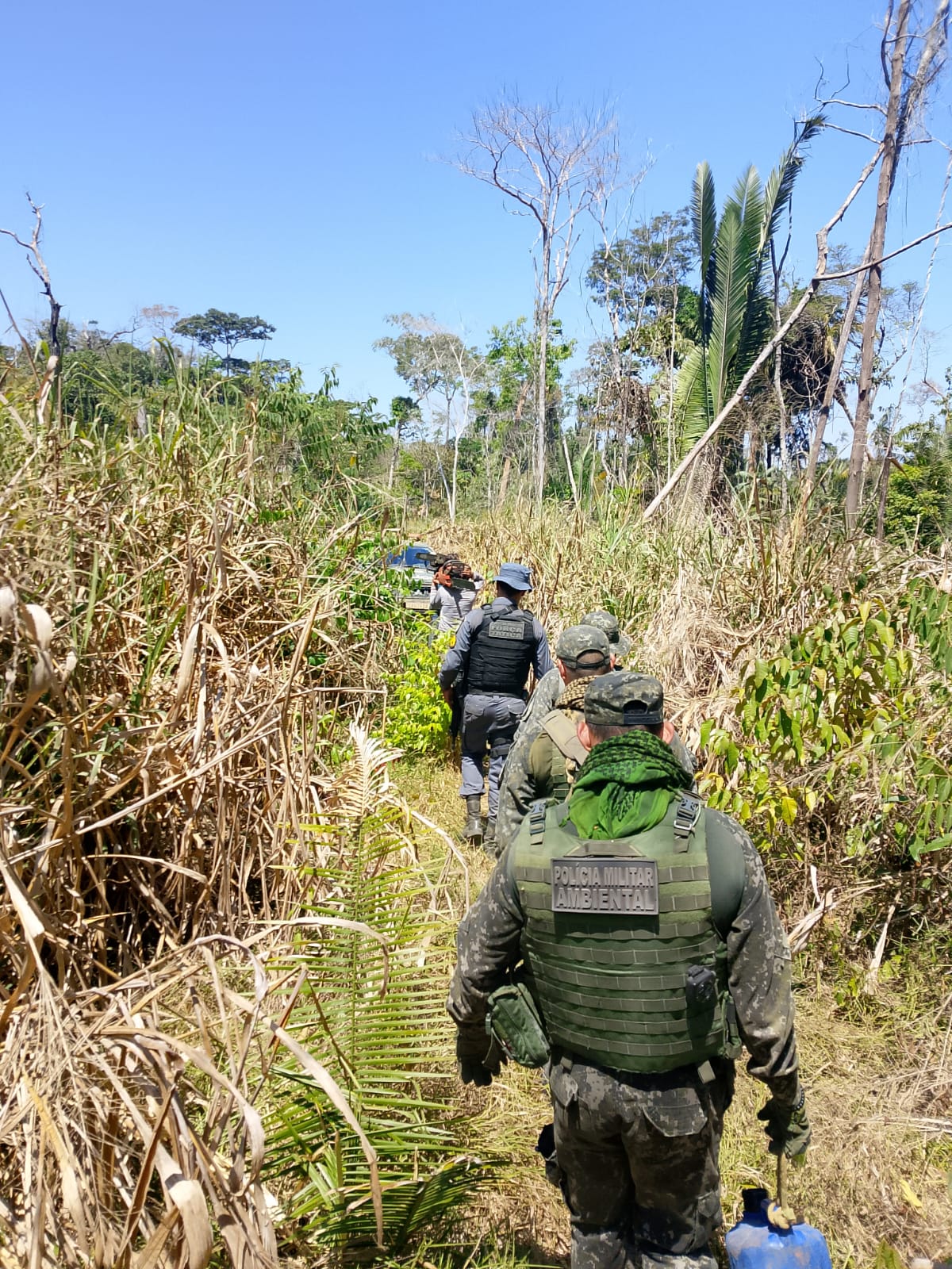 Polícia Militar fecha área de desmatamento ilegal em fazenda e prende três homens em flagrante