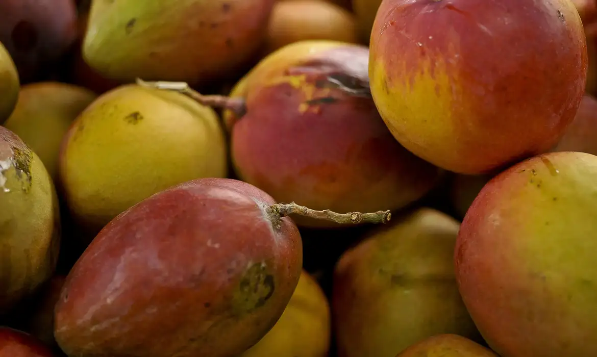 Abrafrutas apoia plano e pede atenção a pequenos produtores