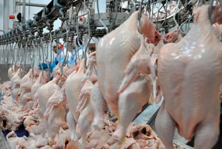 Arábia Saudita vai reabrir exportação à carne de aves do Rio Grande do Sul