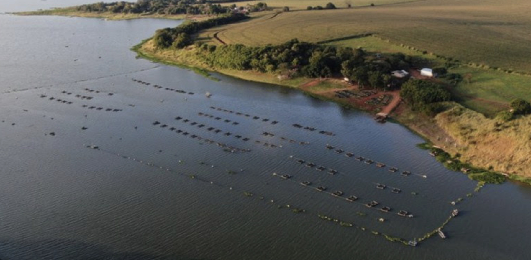 Projeto de lei moderniza marco da aquicultura e reduz burocracia para produção em propriedades privadas